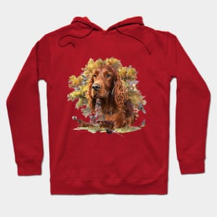 Irish Setter Hoodie